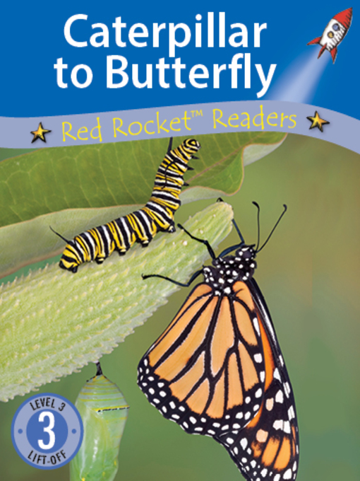 Title details for Caterpillar to Butterfly by Pam Holden - Wait list